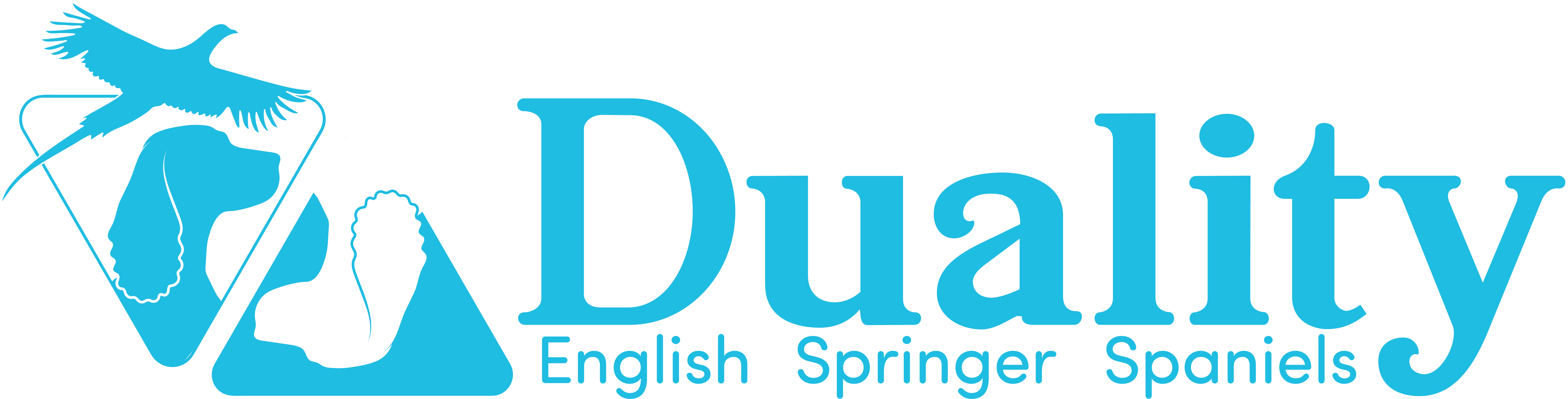 Duality English Springer Spaniels